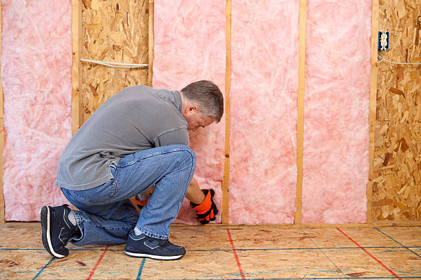 Best Energy Efficiency Insulation in Huntington, VA