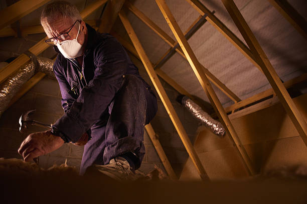 Best Insulation Maintenance and Repair in Huntington, VA