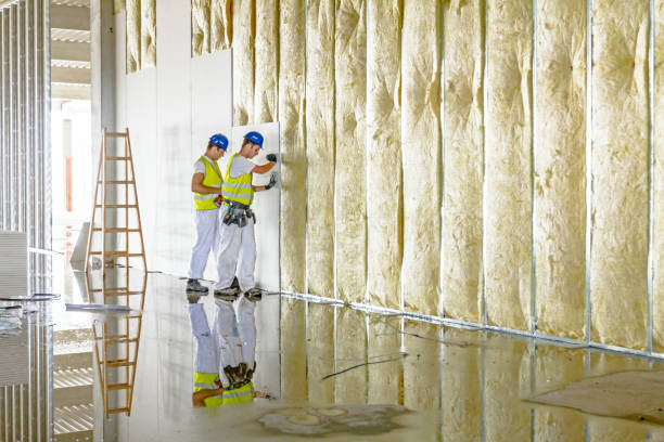 Best Residential Insulation in Huntington, VA